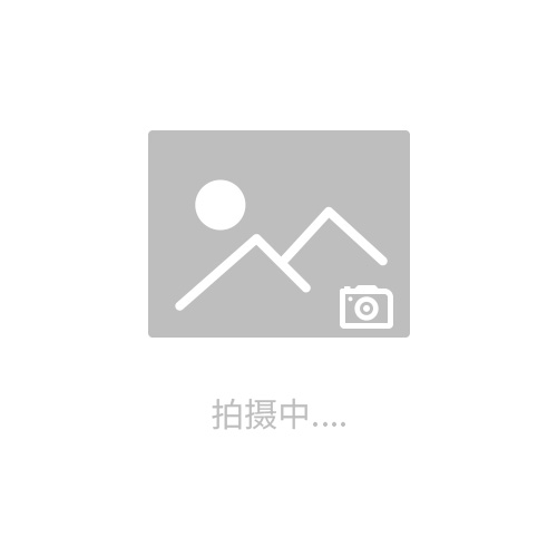 豬鬃圓盤刷-馬尾毛圓盤刷-豬鬃盤刷